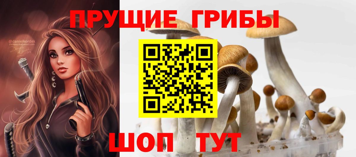 цена   Вход с VPN  Жуковский  Псилоцибиновые грибы Magic Shrooms 